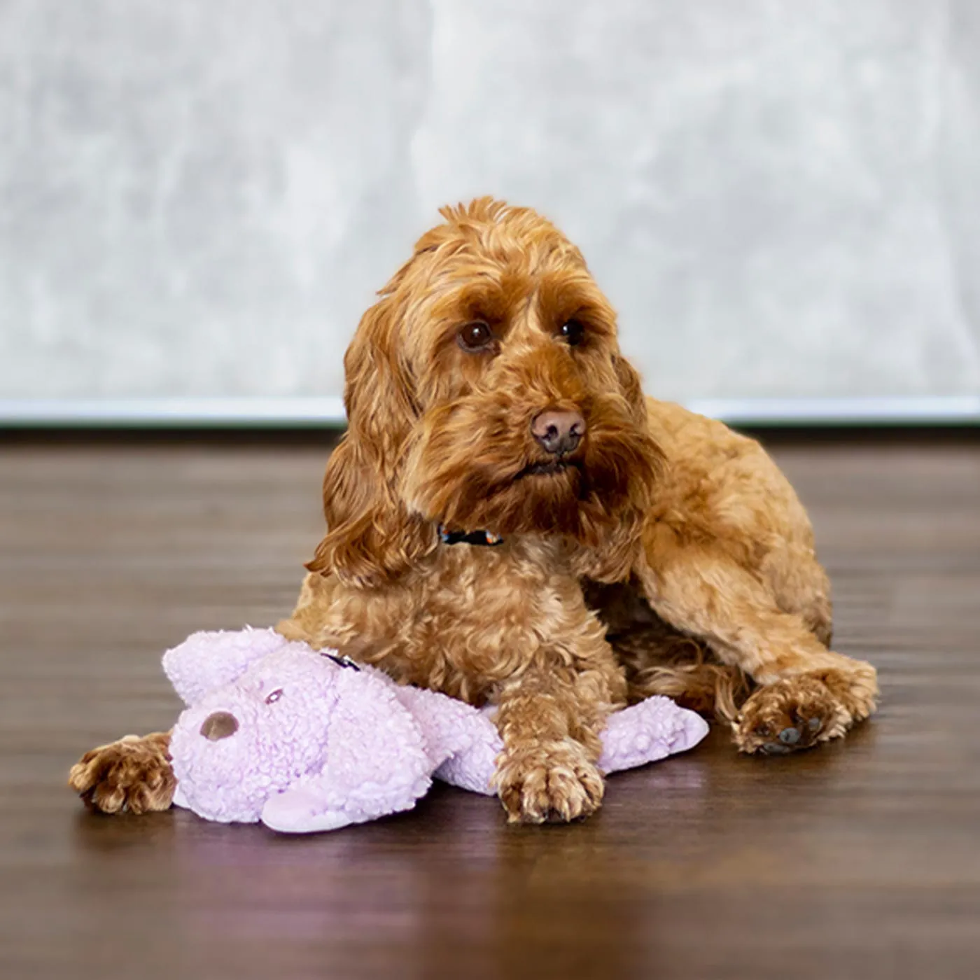 AromaDog Calm Fleece Laying Down Dog