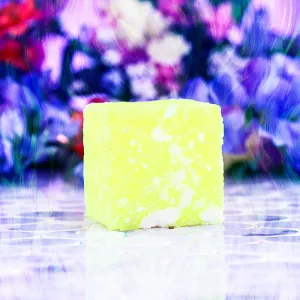 WELL BEGUN IS HALF-DONE Shampoo Bar